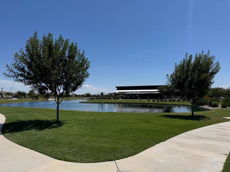 A serene outdoor scene at Harvest at Queen Creek Assisted Living featuring a small lake surrounded by green grass and two leafy trees. A paved walkway curves around the grassy area, and a modern building is visible in the background under a clear blue sky.