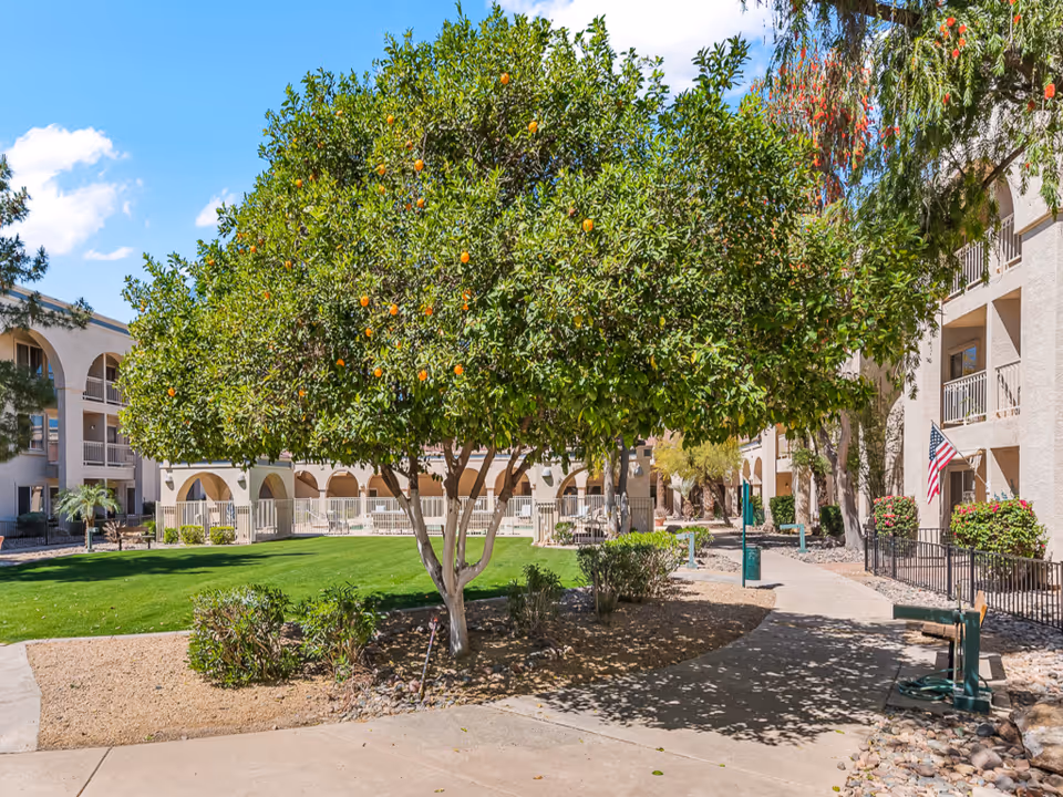 Outdoor courtyard area at a senior living facility with a large orange tree in the center, surrounded by green grass, shrubs, and paved walkways. Beige multi-story buildings with balconies and an American flag are visible in the background under a blue sky with some clouds.