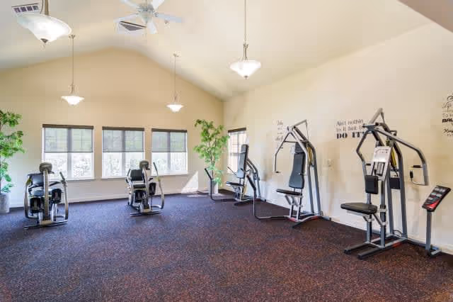 Bright fitness room with several weight and cardio machines, potted plants, and large windows under a vaulted ceiling.