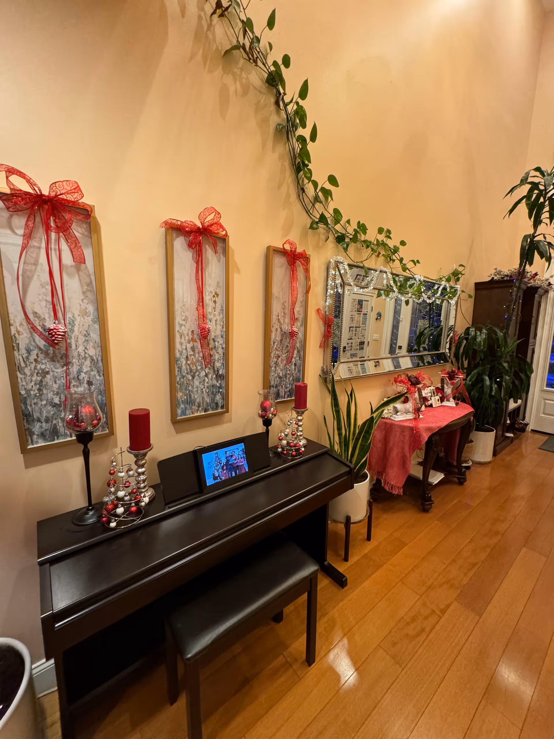 Interior common area with a black piano, holiday decorations, framed wall art, a mirror, plants, and hardwood flooring.