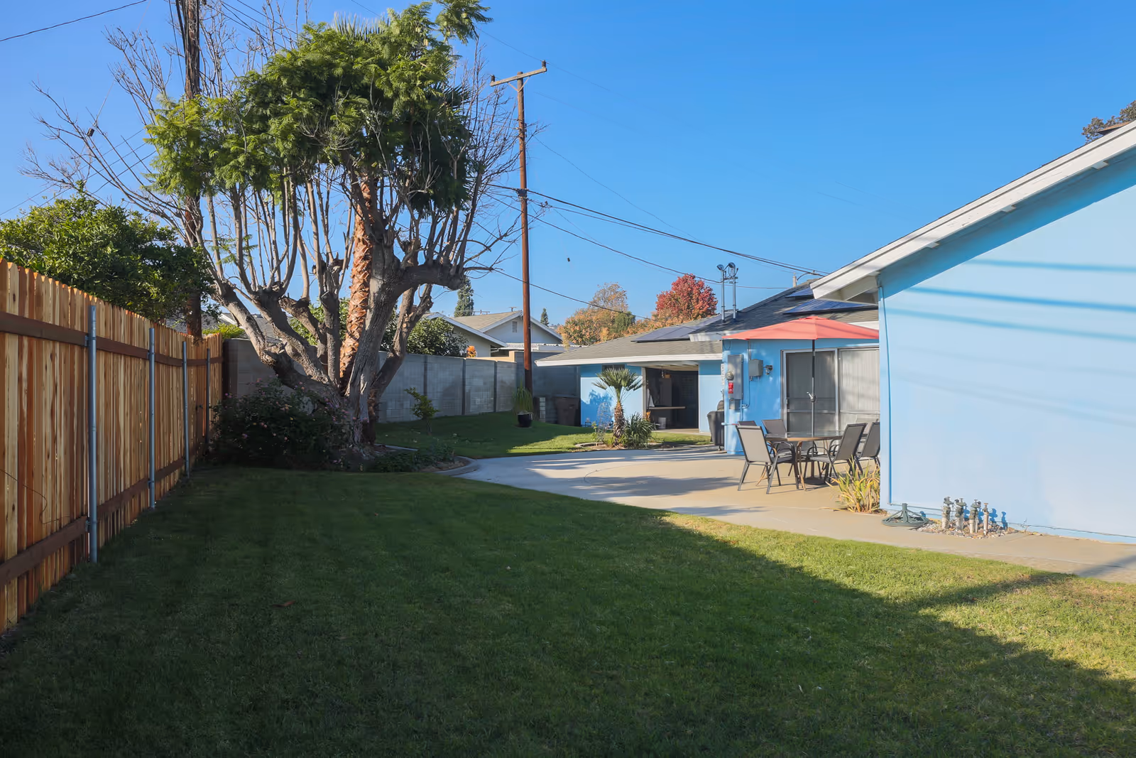 Sunny backyard with a green lawn, a large pruned tree, a patio dining set with an umbrella, and light blue buildings and wooden fence.