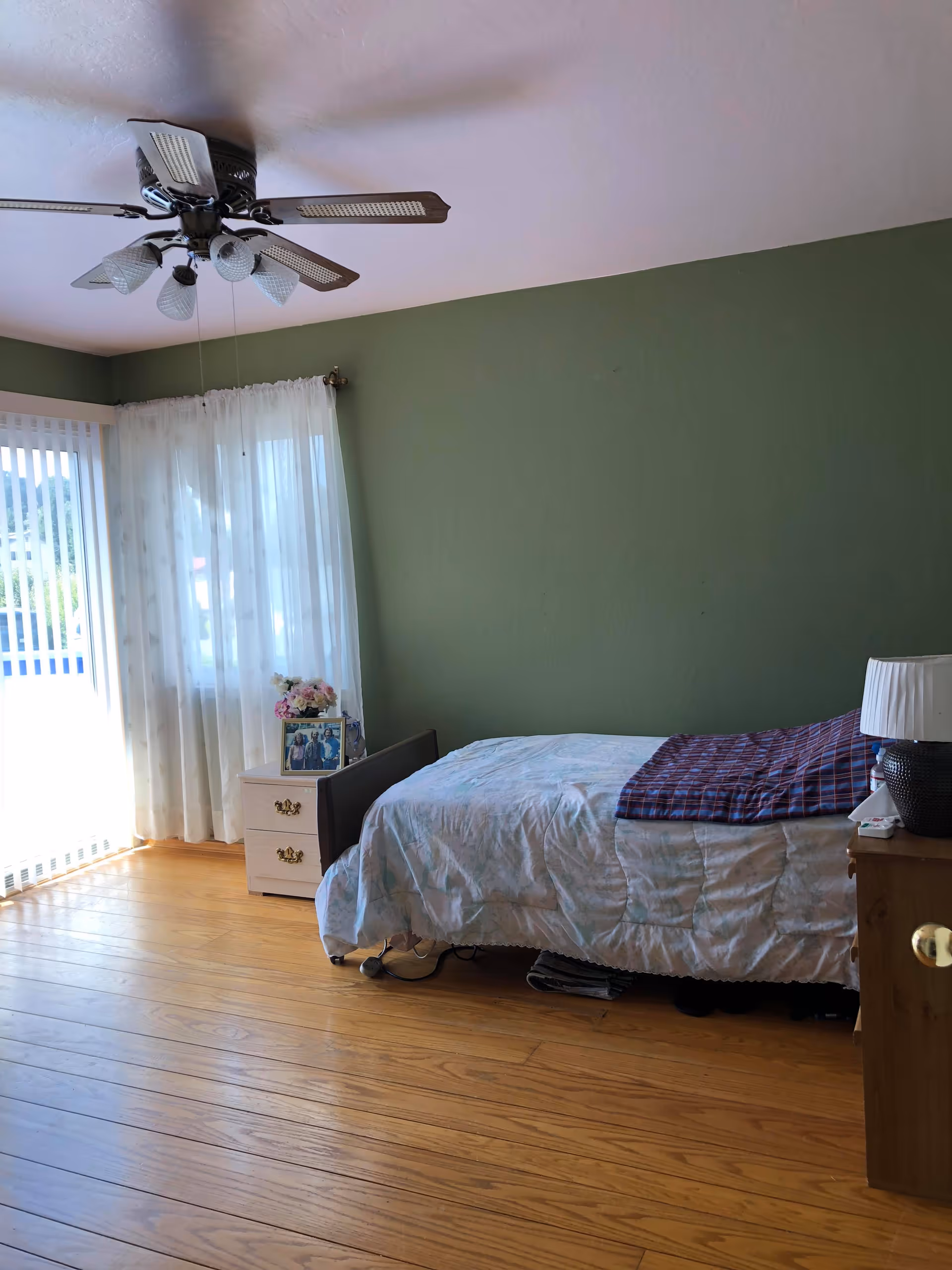 Sunlit bedroom with a single bed against a green wall, ceiling fan, sheer curtains over a sliding window, a nightstand with a lamp and photo, and hardwood floors.