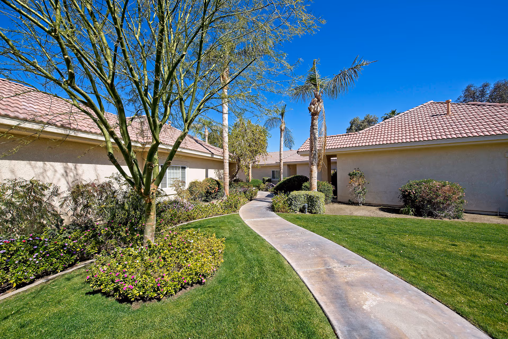 A landscaped courtyard path winds between single-story stucco buildings with tile roofs under a clear blue sky.