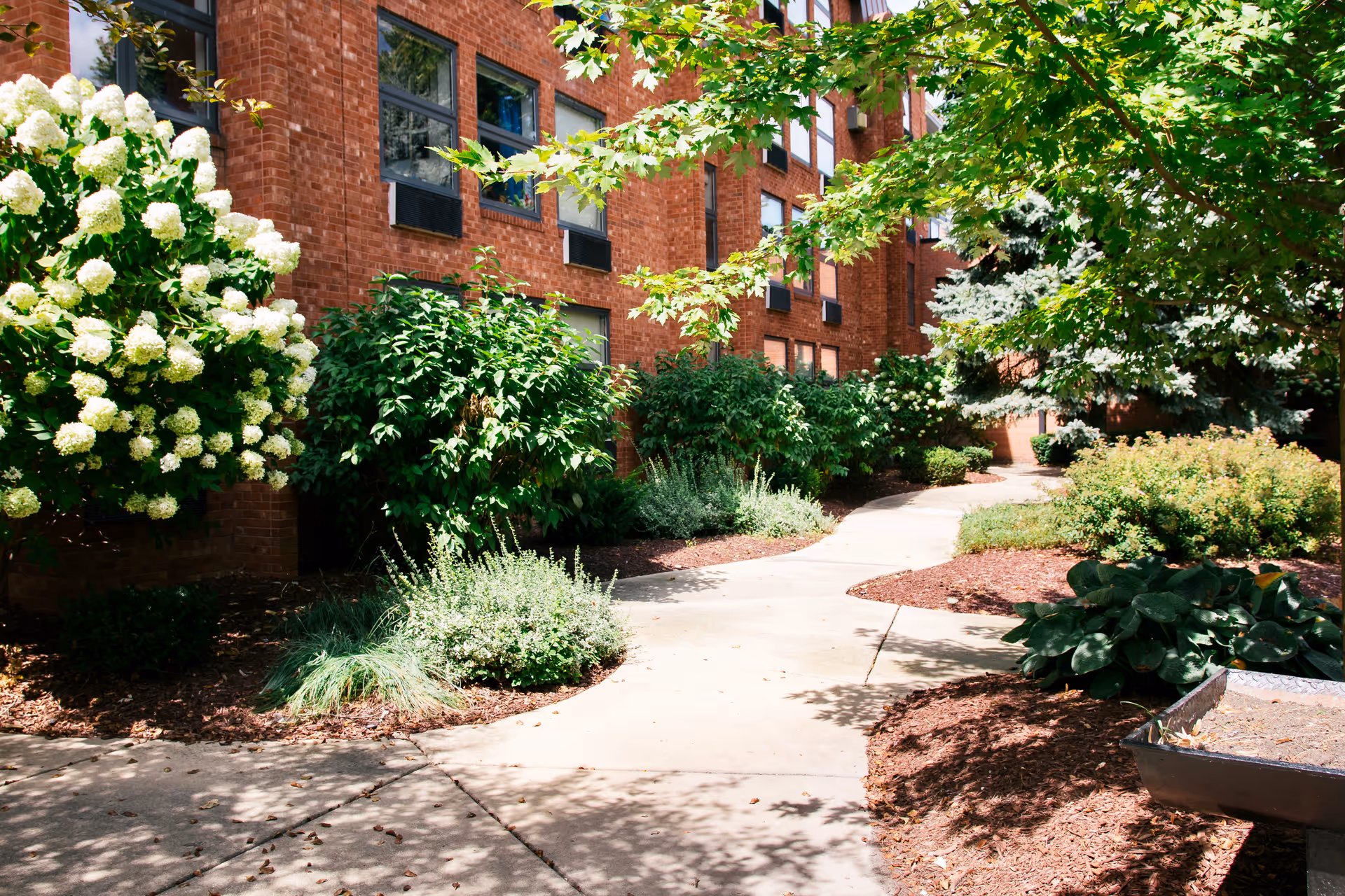 A winding concrete pathway surrounded by lush green bushes, flowering plants, and trees alongside a red brick building with multiple windows.