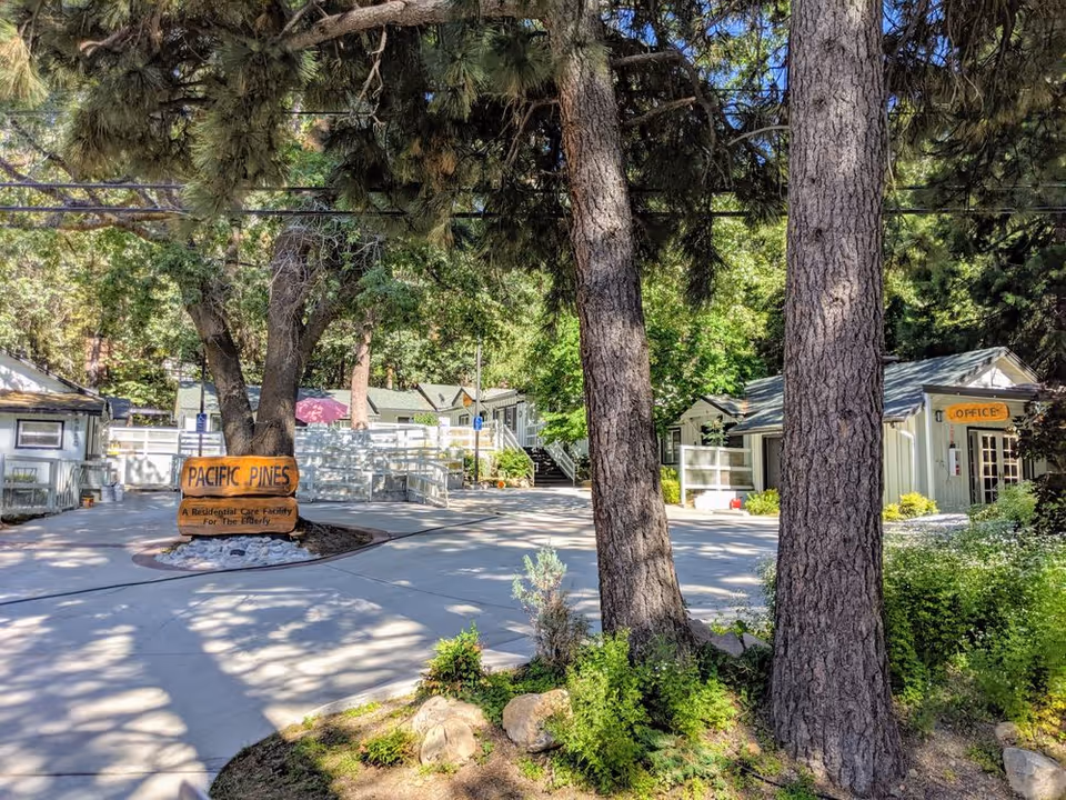 Outdoor view of Pacific Pines residential care facility for the elderly, showing a paved driveway surrounded by tall trees and greenery. A wooden sign with the facility name is placed near the center, and a small building with an 'Office' sign is visible on the right.