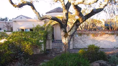 A single-story facility with a stone gate, low wall, and large tree in front.