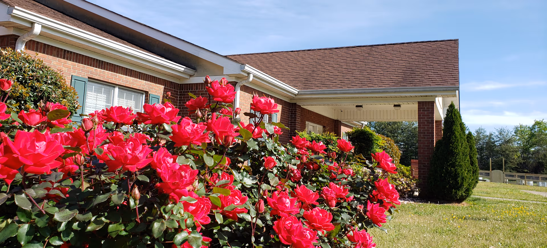 A brick building with a covered entrance and a garden of vibrant red roses in the foreground under a clear blue sky.