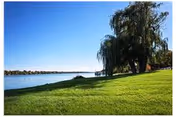 A scenic outdoor view featuring a large green grassy area with a tall tree near the water's edge under a clear blue sky.