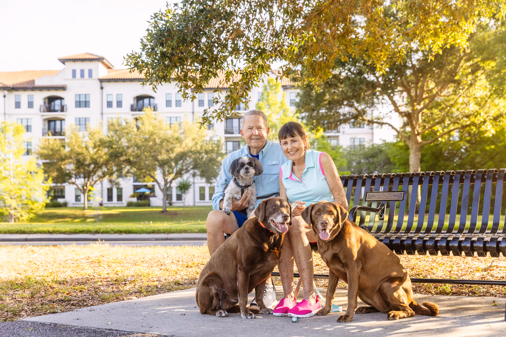An elderly couple sitting on a park bench outdoors with three dogs, two large brown dogs sitting on the ground and a small black and white dog held by the man. Behind them is a large residential building and trees with sunlight filtering through.