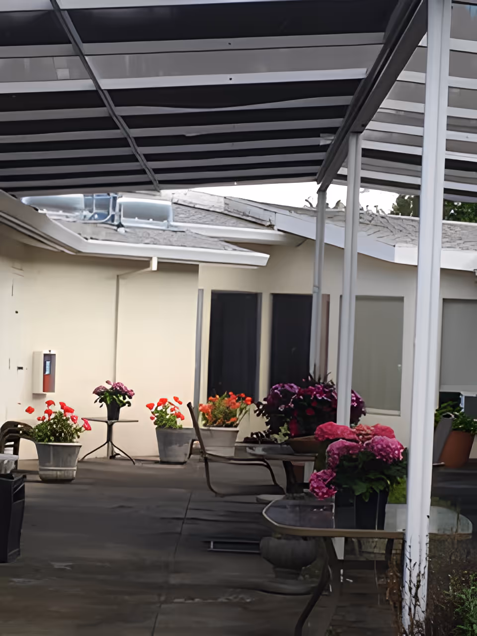 Outdoor covered patio area with several potted flowering plants in various colors including pink, red, and purple. There are metal chairs and tables arranged along the patio, with a beige building wall and windows in the background.