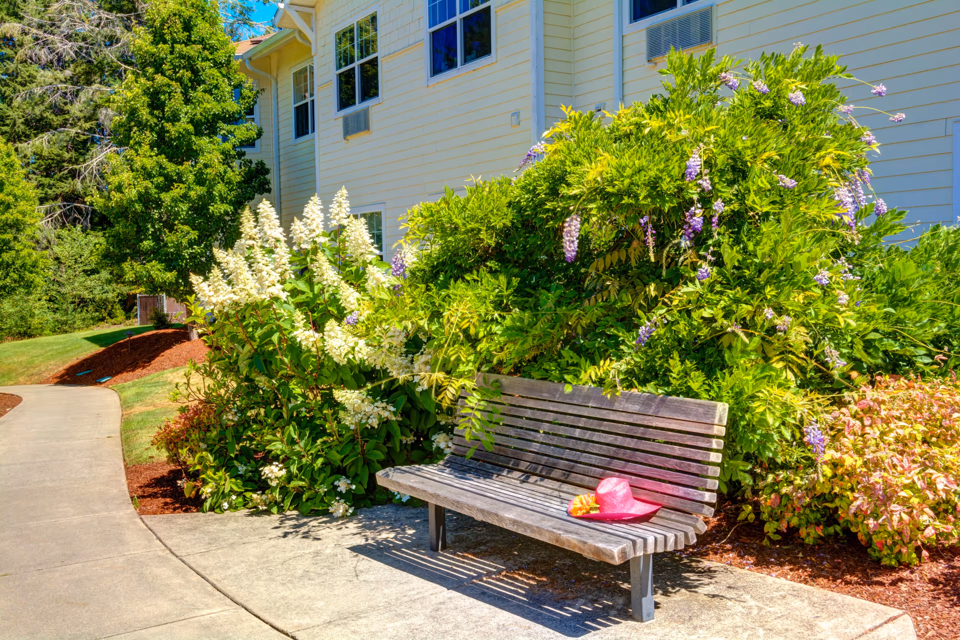 A wooden bench on a concrete pathway in a garden area next to a building with yellow siding. The bench has a pink hat and a small orange item placed on it. Surrounding the bench are green bushes with white and purple flowers, and there are trees and grass in the background under a clear blue sky.