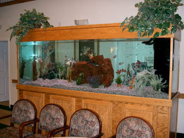 Large rectangular aquarium filled with various fish, plants, and decorative rocks, set on a wooden cabinet. Four floral-patterned cushioned chairs are positioned in front of the aquarium. Two potted plants are placed on top of the aquarium. The setting appears to be an indoor common area.