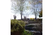 Outdoor landscaped courtyard with trees, shrubs, a paved pathway and seating area under a bright sky.