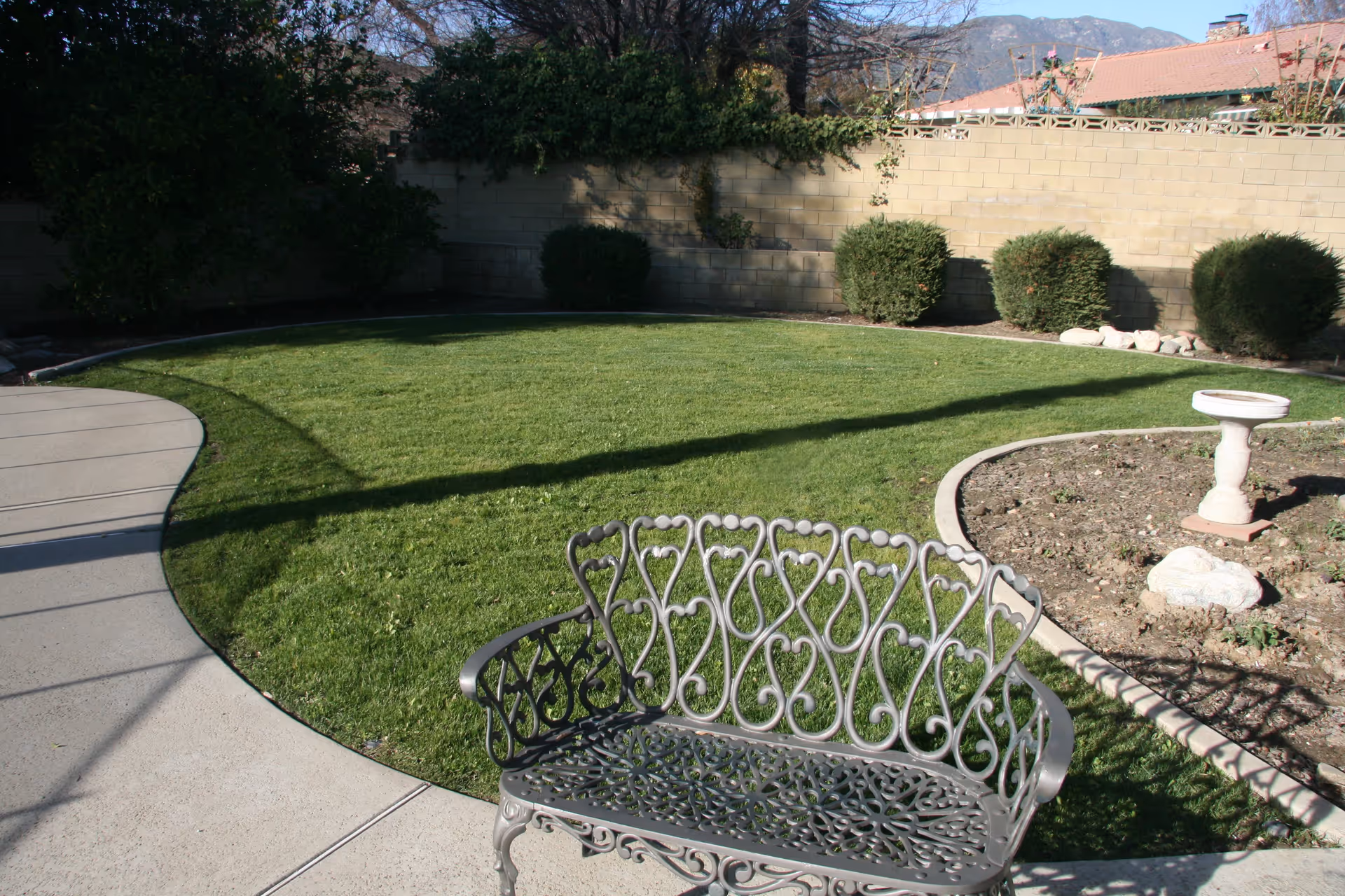 Curved backyard lawn with a decorative metal bench, paved walkway, birdbath, and shrubs against a block wall.