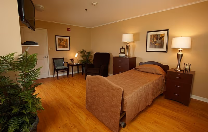 Furnished single-occupancy bedroom with a twin bed, bedside tables and lamps, an armchair, TV, and potted plants.