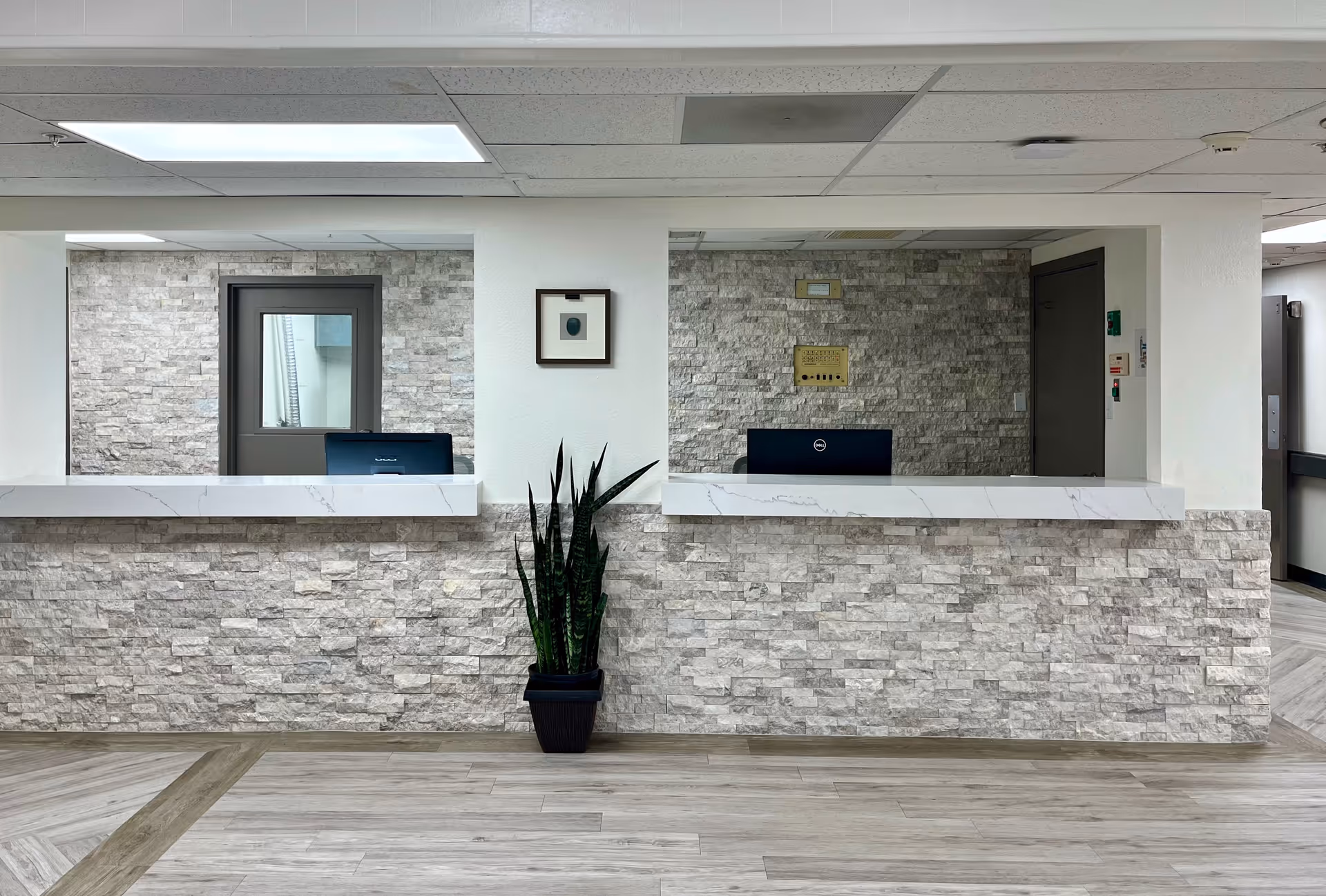Reception desk area with a stone-textured front and white marble countertop. Two computer monitors are visible behind the desk. A potted snake plant is placed in front of the desk. The background features stone-textured walls, a framed picture, and two doors. The ceiling has recessed lighting panels.