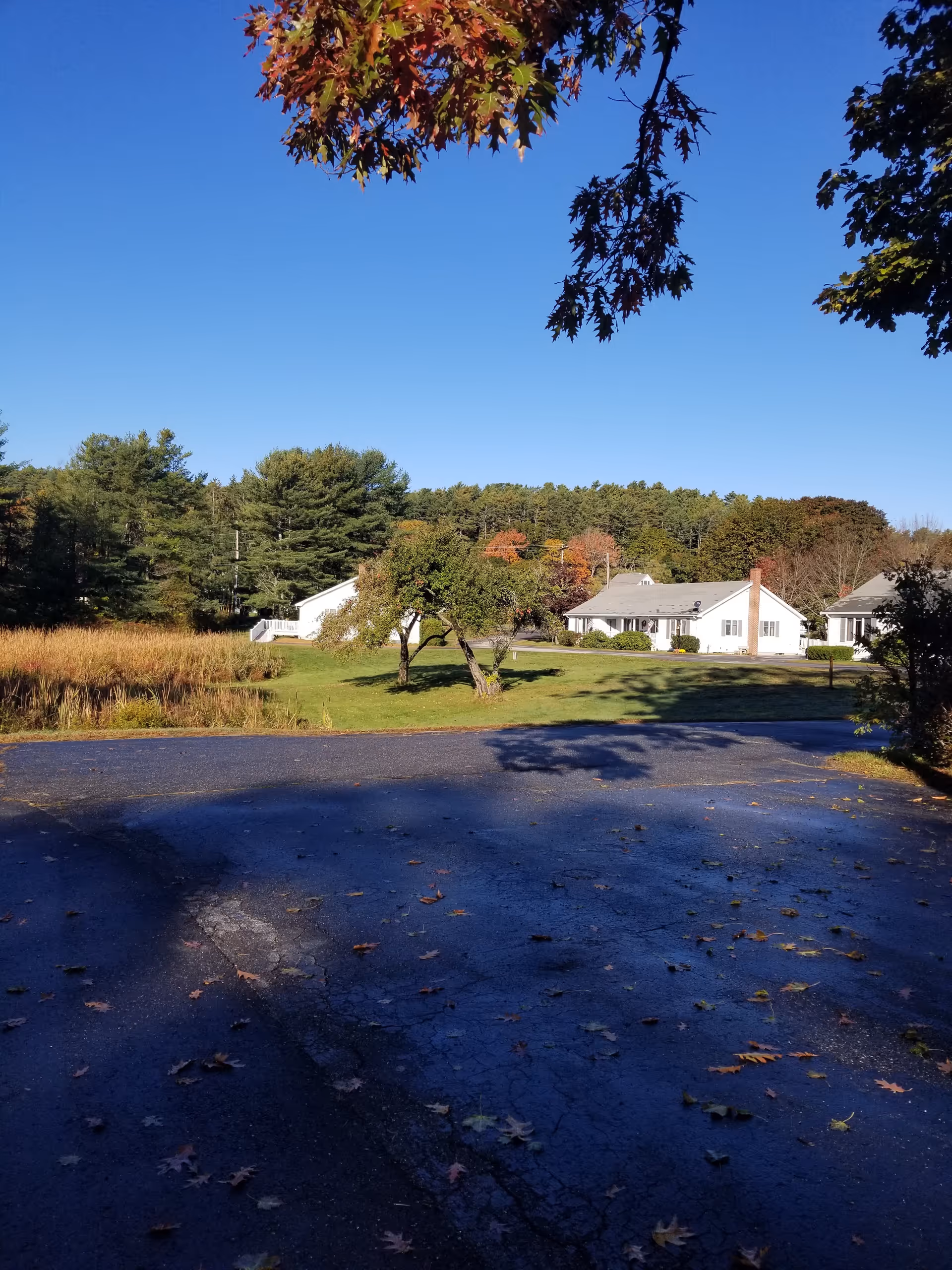Driveway leading to a grassy lawn with small white ranch-style buildings, trees, and a clear blue sky.