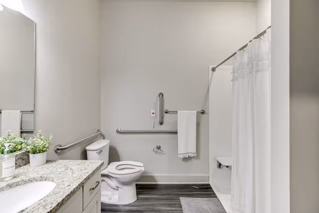 A clean and accessible bathroom with a white toilet, grab bars on the walls, a white shower with a curtain, a granite countertop with a sink, and a small potted plant on the counter.