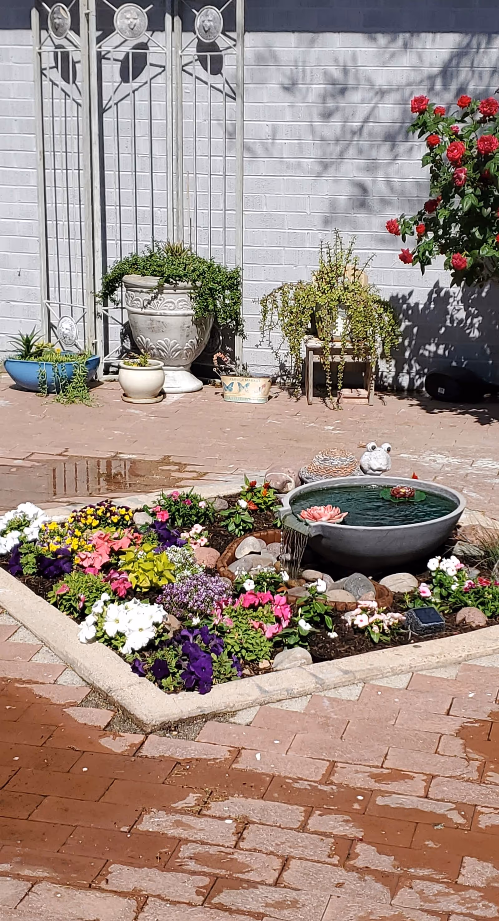 A small garden area with a variety of colorful flowers surrounding a round water feature with a pink water lily floating on top. Behind the garden, there are several potted plants placed against a white brick wall with a decorative metal trellis. A bush with red flowers is visible on the right side.