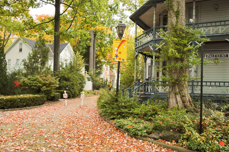 A leafy pathway covered with fallen autumn leaves runs alongside a green wooden building with a porch and balcony. The building has a sign that reads 'PALESTINE'. Trees and bushes with fall foliage surround the area, and a colorful banner is hanging from a lamppost along the path.
