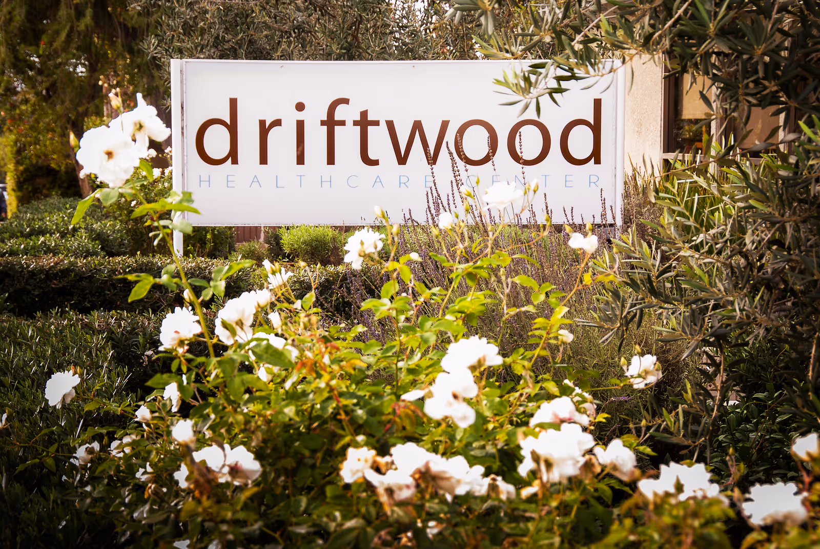 A white sign with brown and light blue text reading 'driftwood HEALTHCARE CENTER' surrounded by green bushes and white flowers in an outdoor garden setting.
