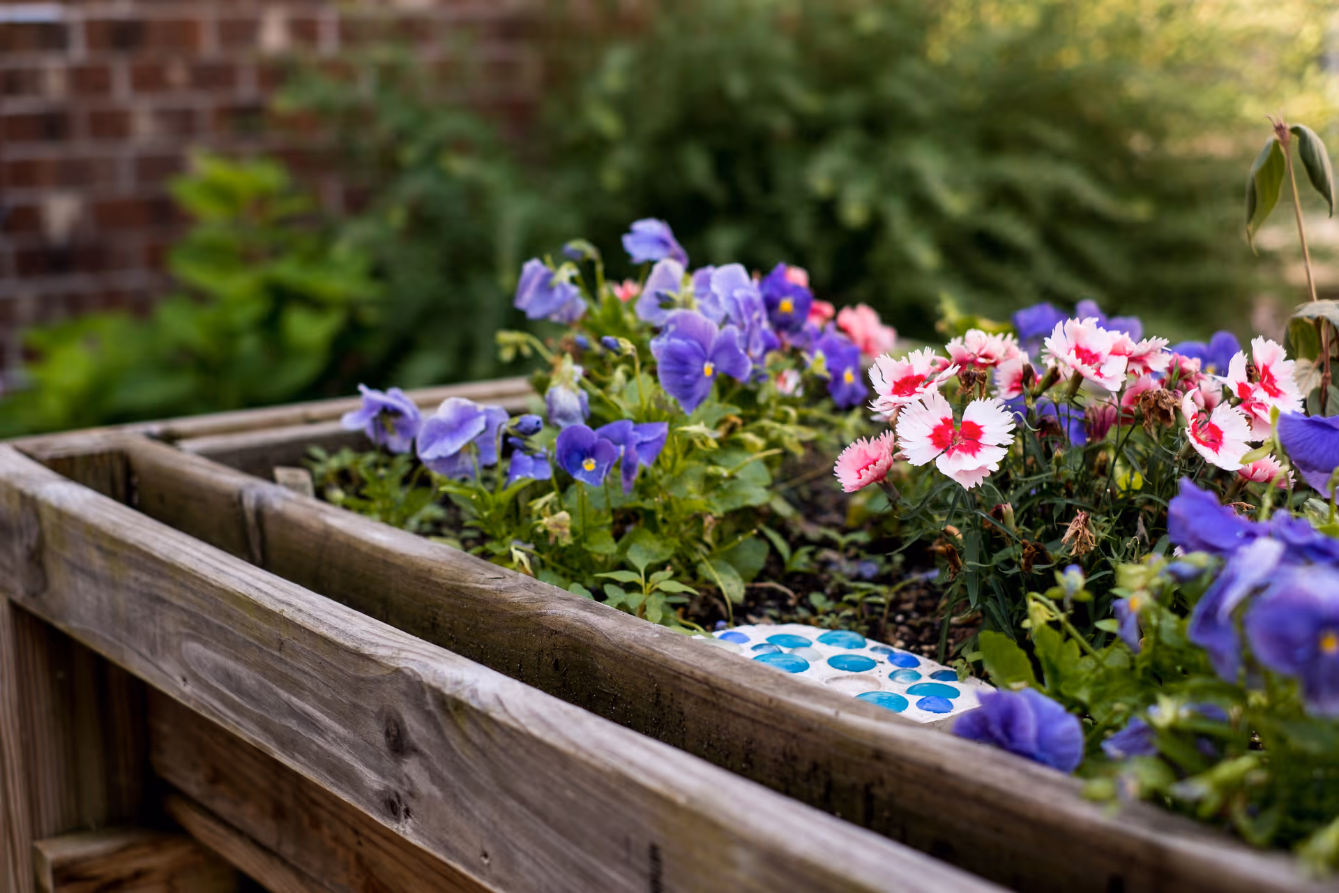 Wooden raised planter filled with purple and pink flowers in an outdoor garden.