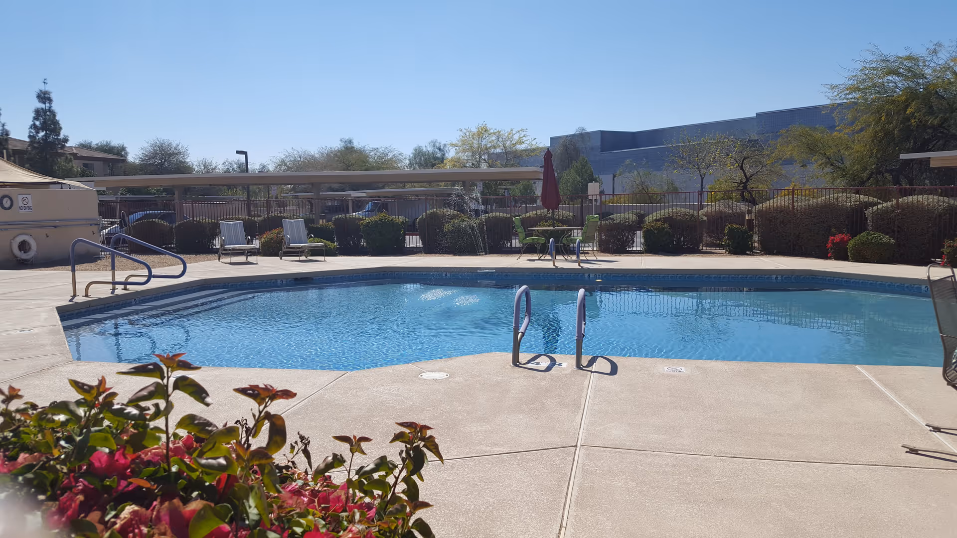 Outdoor community swimming pool with lounge chairs, an umbrella, and flowering bushes under a clear sky.
