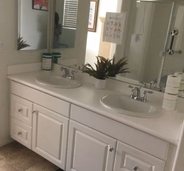 A bathroom vanity with two sinks, chrome faucets, and white cabinetry. A large mirror spans the length of the vanity. On the countertop, there is a potted green plant, a container of disinfecting wipes, and a stack of toilet paper rolls. The floor is tiled, and a shower with a glass door is visible in the reflection of the mirror.