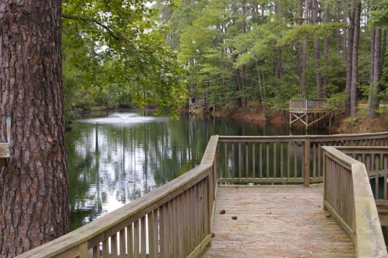 A wooden deck overlooking a calm pond surrounded by tall trees. There is a water fountain in the middle of the pond and additional wooden platforms extending over the water on the far side. The scene is peaceful and natural with dense green foliage.