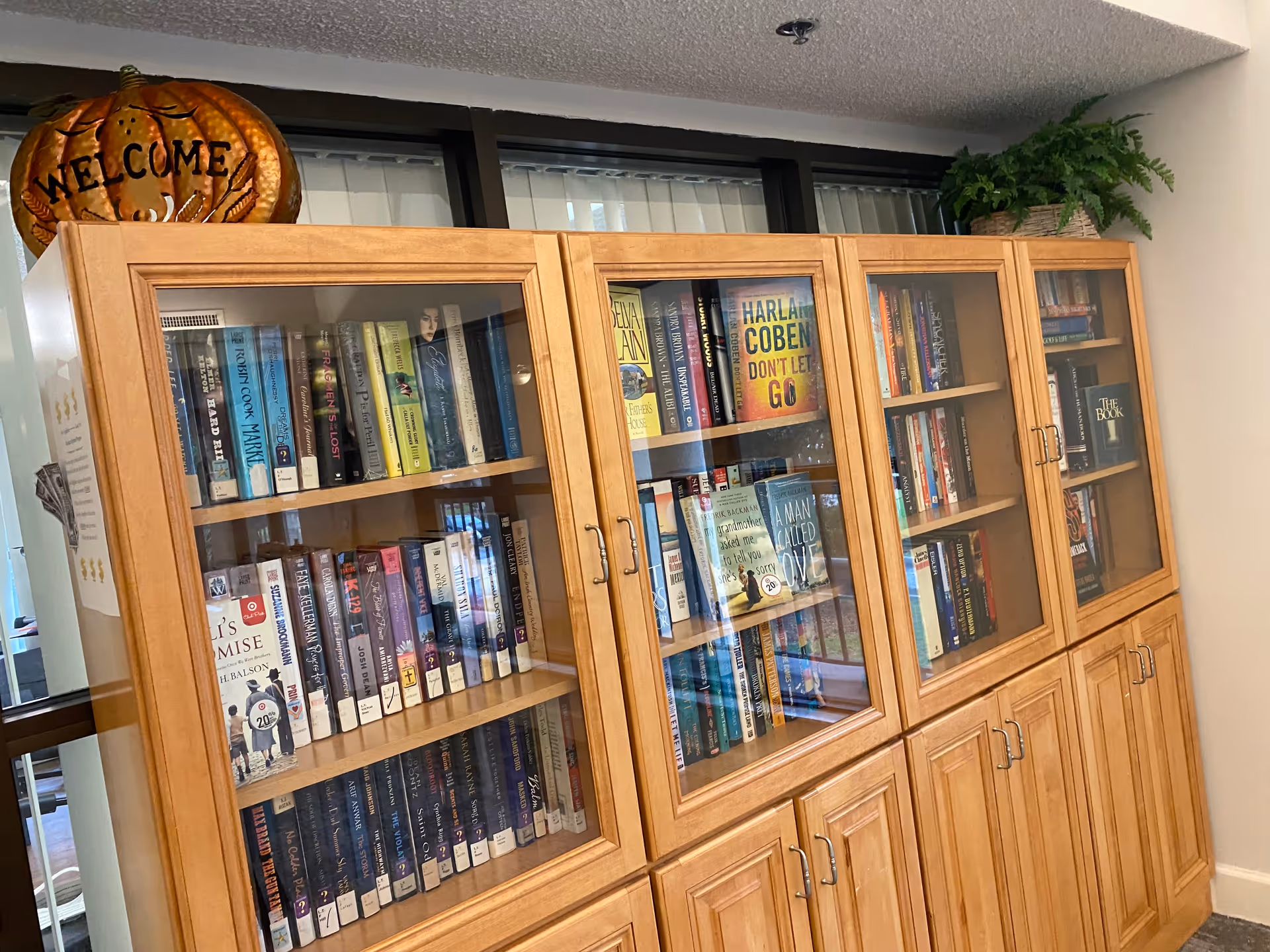 A wooden bookshelf with glass doors filled with various books. On top of the bookshelf, there is a decorative pumpkin with the word 'WELCOME' carved into it and a green potted plant. The bookshelf is placed against a wall with windows above it.