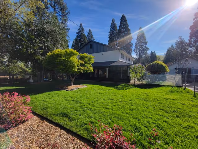 A sunny outdoor view of a green lawn with various trees and shrubs surrounding a two-story building. The sky is clear with a bright sun shining from the upper right corner. There is a white fence and a driveway visible on the right side of the image.