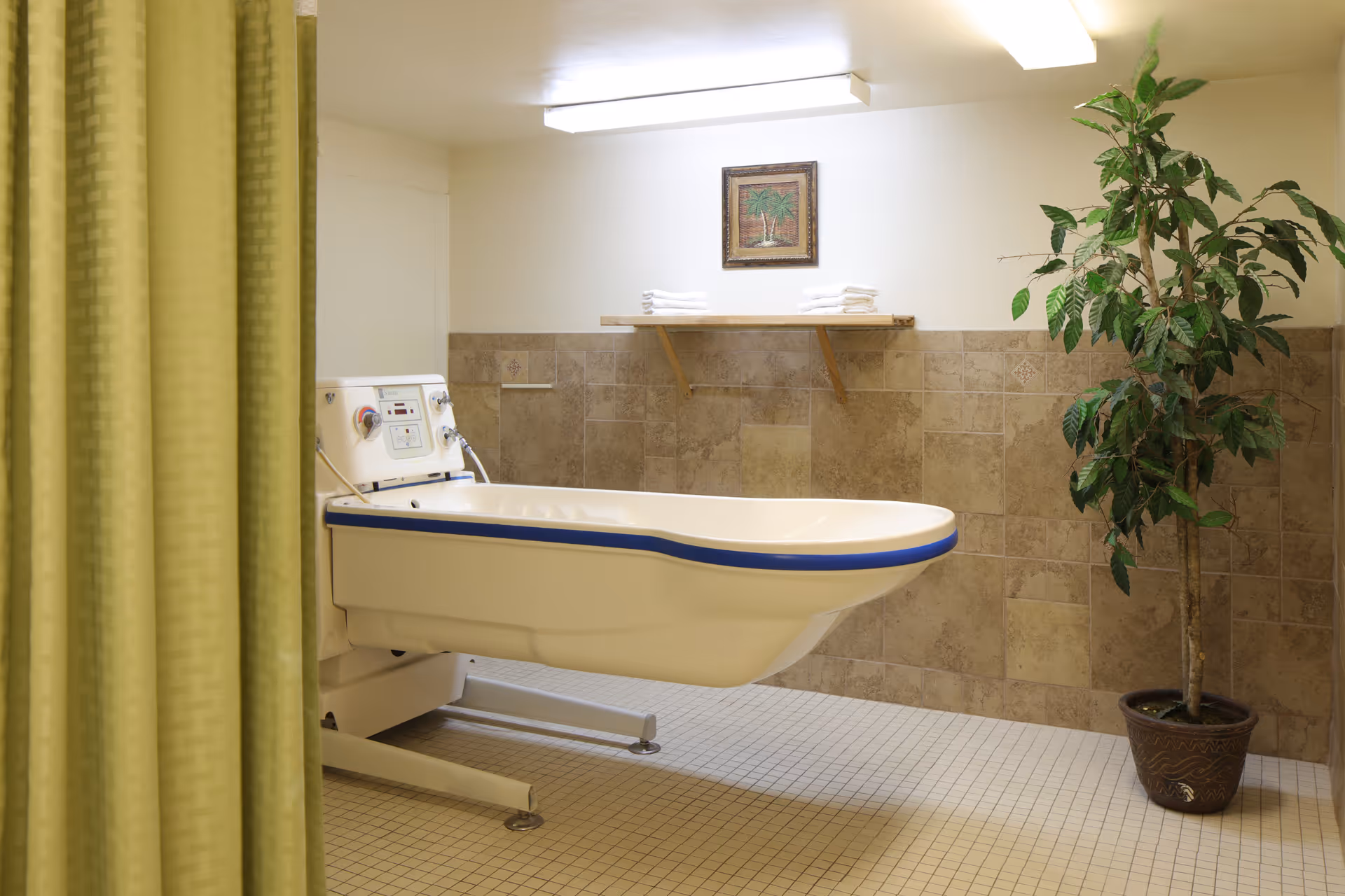 A clean, well-lit bathing room with a medical-style bathtub featuring control knobs and a blue trim. The room has beige tiled walls and floor, a green curtain partially visible on the left, a potted plant on the right, a wooden shelf with folded white towels, and a framed picture of palm trees on the wall.