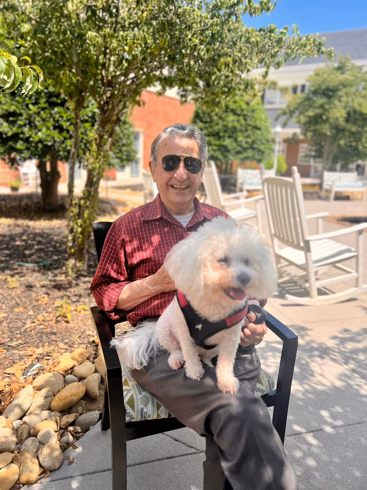 An elderly man wearing sunglasses and a red checkered shirt sits outdoors on a chair with a small white dog on his lap. The background shows trees, rocks, and white rocking chairs on a sunny day.