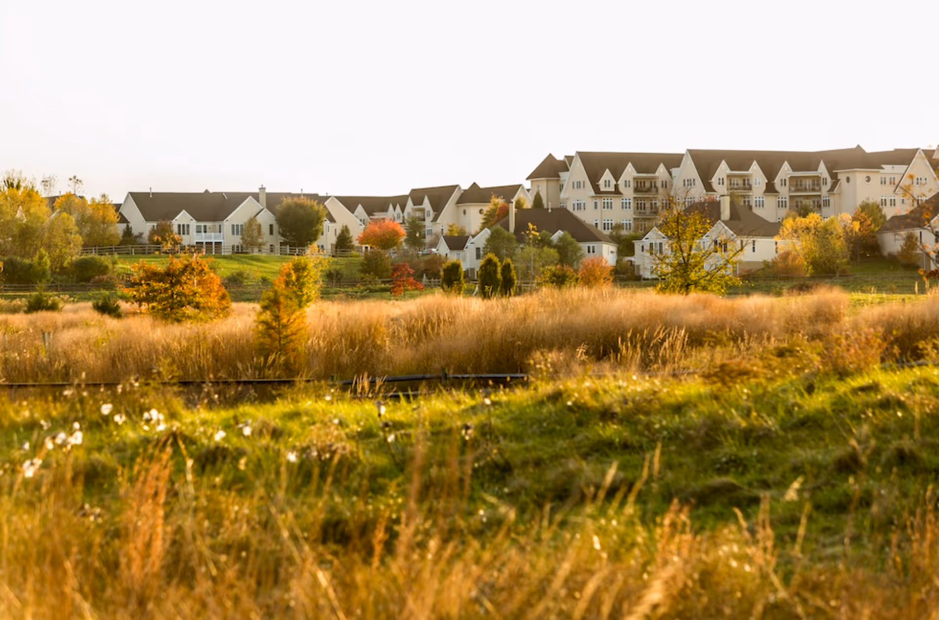 A scenic view of The Hill at Whitemarsh facility showing multiple white buildings with brown roofs surrounded by trees with autumn foliage and grassy fields in the foreground under a clear sky.