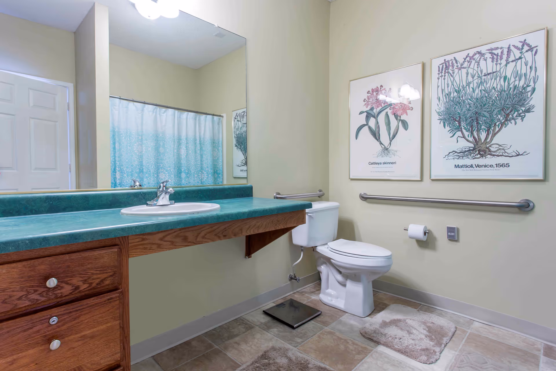 Accessible bathroom featuring a green countertop sink, toilet with grab bars, shower curtain, and framed botanical prints.