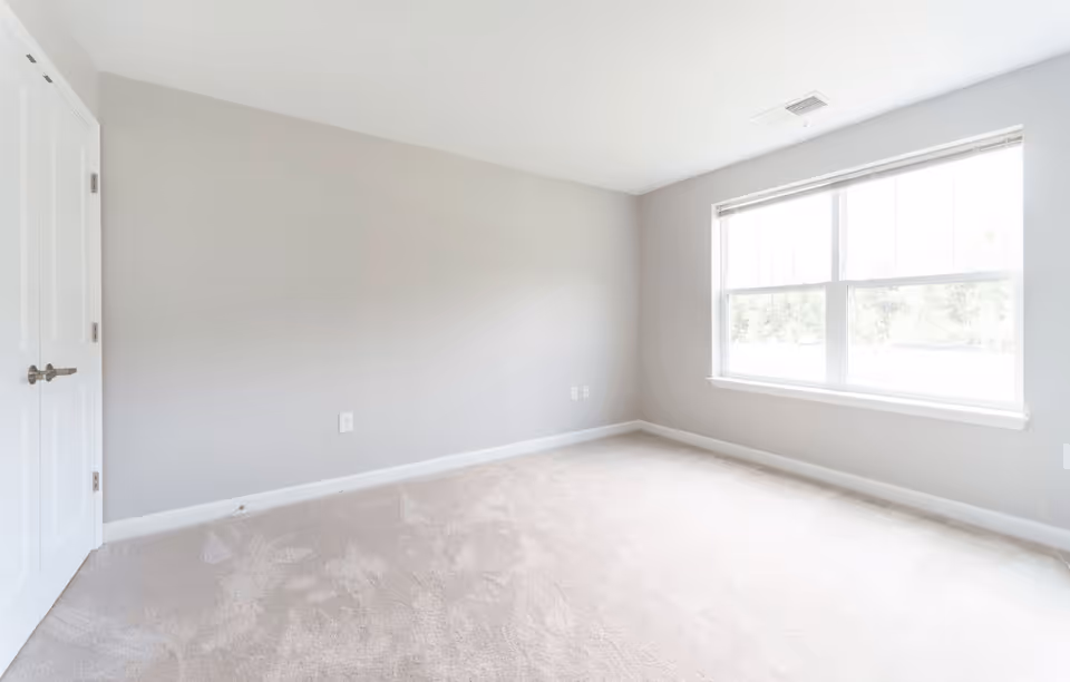 Empty bright bedroom with light gray walls, beige carpet, a large window, and a closed white door.