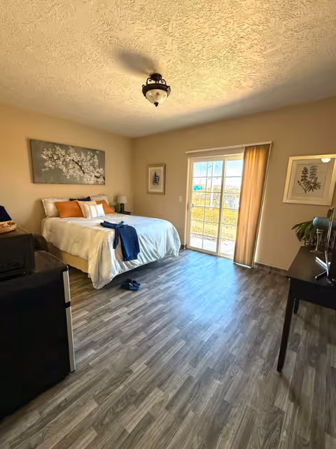A bright bedroom with a large bed made with white and orange pillows and a white comforter. The room has wood-patterned flooring, a ceiling light fixture, and sliding glass doors with vertical blinds leading outside. There are framed botanical prints on the walls and a small black refrigerator and a desk with a plant and a TV on it.