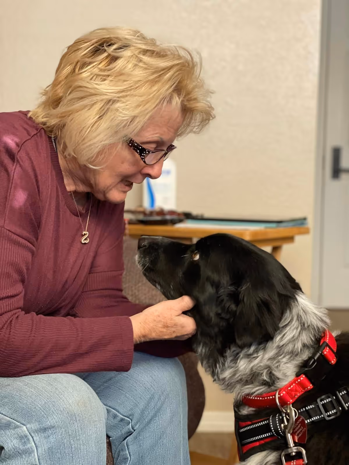 An elderly woman with short blonde hair and glasses wearing a maroon sweater and light blue jeans is sitting and gently holding the face of a large black and white dog wearing a red harness. They are indoors, with a table and some items in the background.