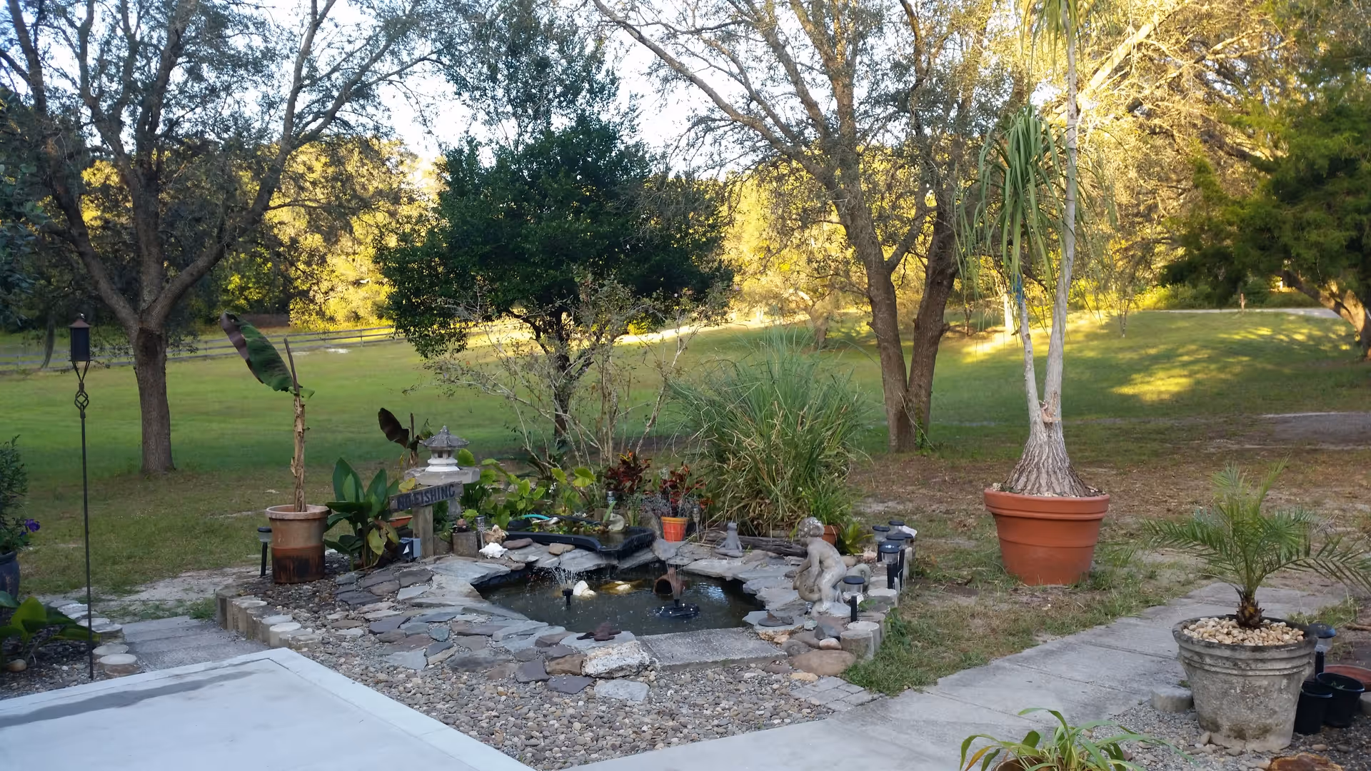 Backyard patio area with a small stone-lined pond, potted plants, and trees on a grassy lawn.