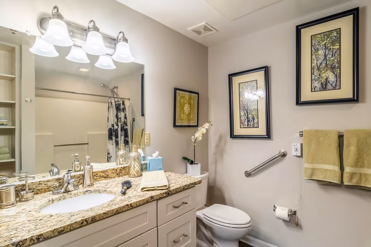 A clean and well-lit bathroom featuring a granite countertop with a sink, a large mirror with five light fixtures above it, a toilet, a shower with a floral curtain, two framed pictures on the wall, a towel rack with two green towels, and a small potted orchid on the toilet tank.