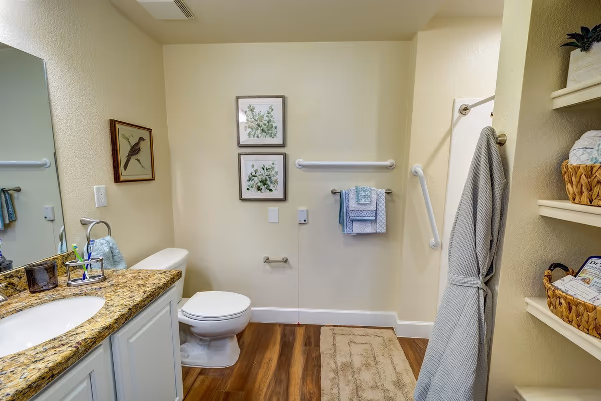 A clean and well-lit bathroom with a granite countertop sink on the left, a white toilet in the center, and a walk-in shower with grab bars on the right. The walls are light-colored with two framed botanical prints above the toilet and a framed bird picture on the left wall. There are towels hanging on a rack and a robe hanging on a hook near the shower. Shelves on the right hold baskets with toiletries and a small plant.