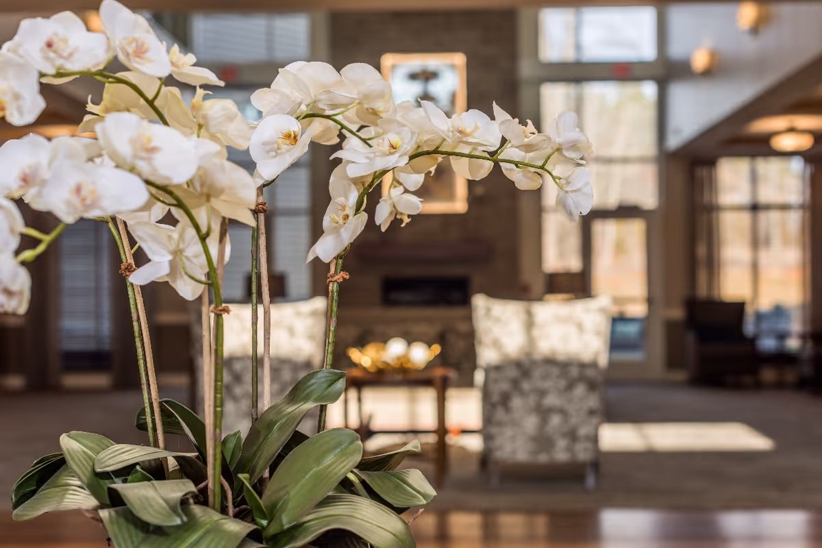 White orchid arrangement in the foreground with a blurred lounge seating area and fireplace in the background.