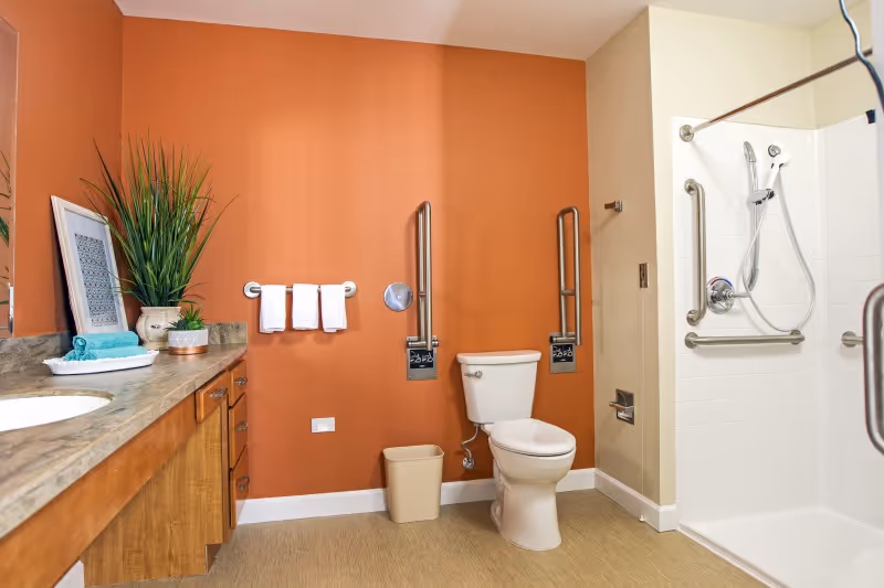 A clean and accessible bathroom with an orange accent wall. The bathroom features a toilet with grab bars on both sides, a walk-in shower with grab bars and a handheld showerhead, a countertop with a sink, towels, and decorative plants.
