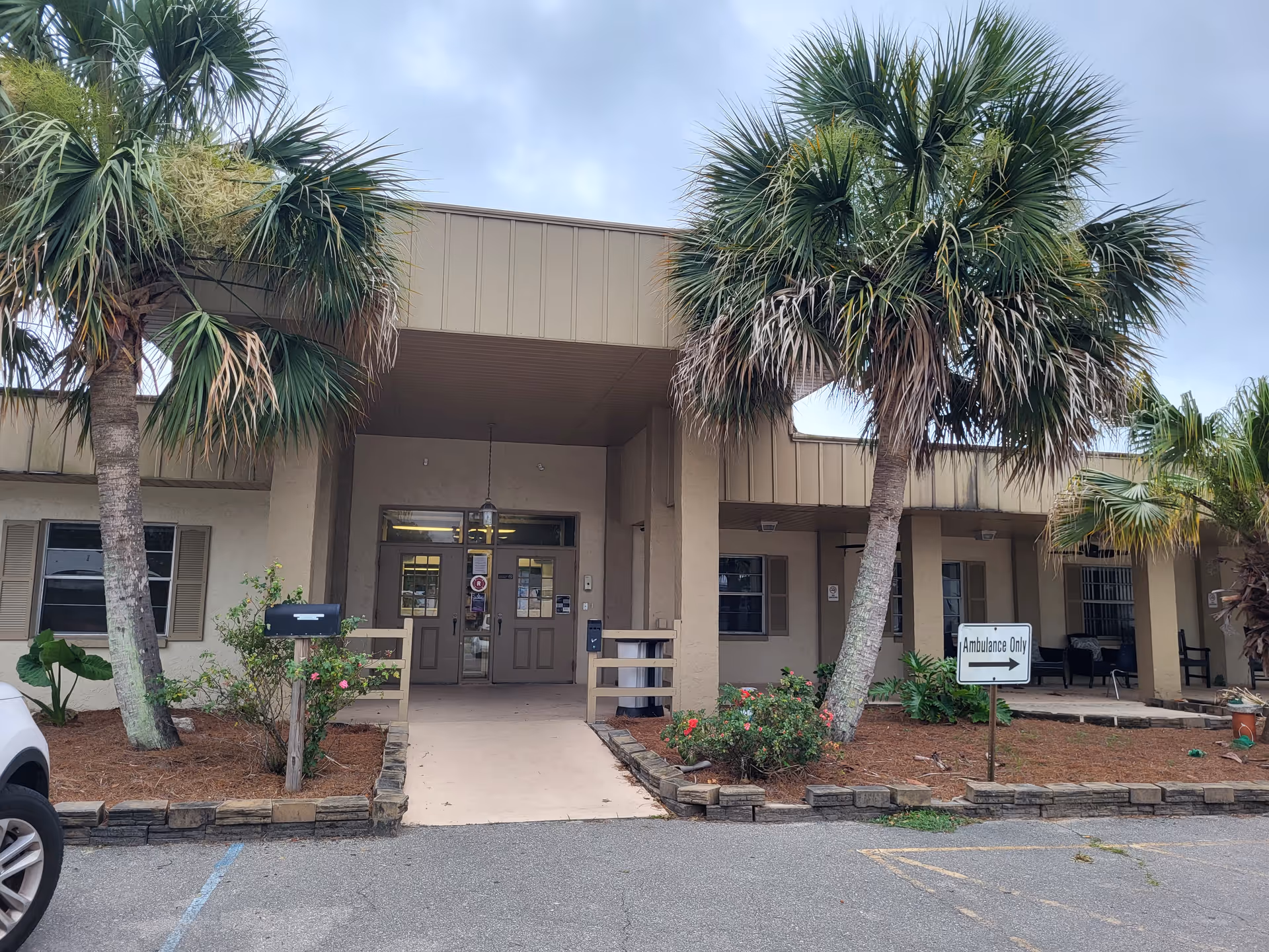 Front entrance of Shores Nursing and Rehab Center with palm trees and a parking lot.