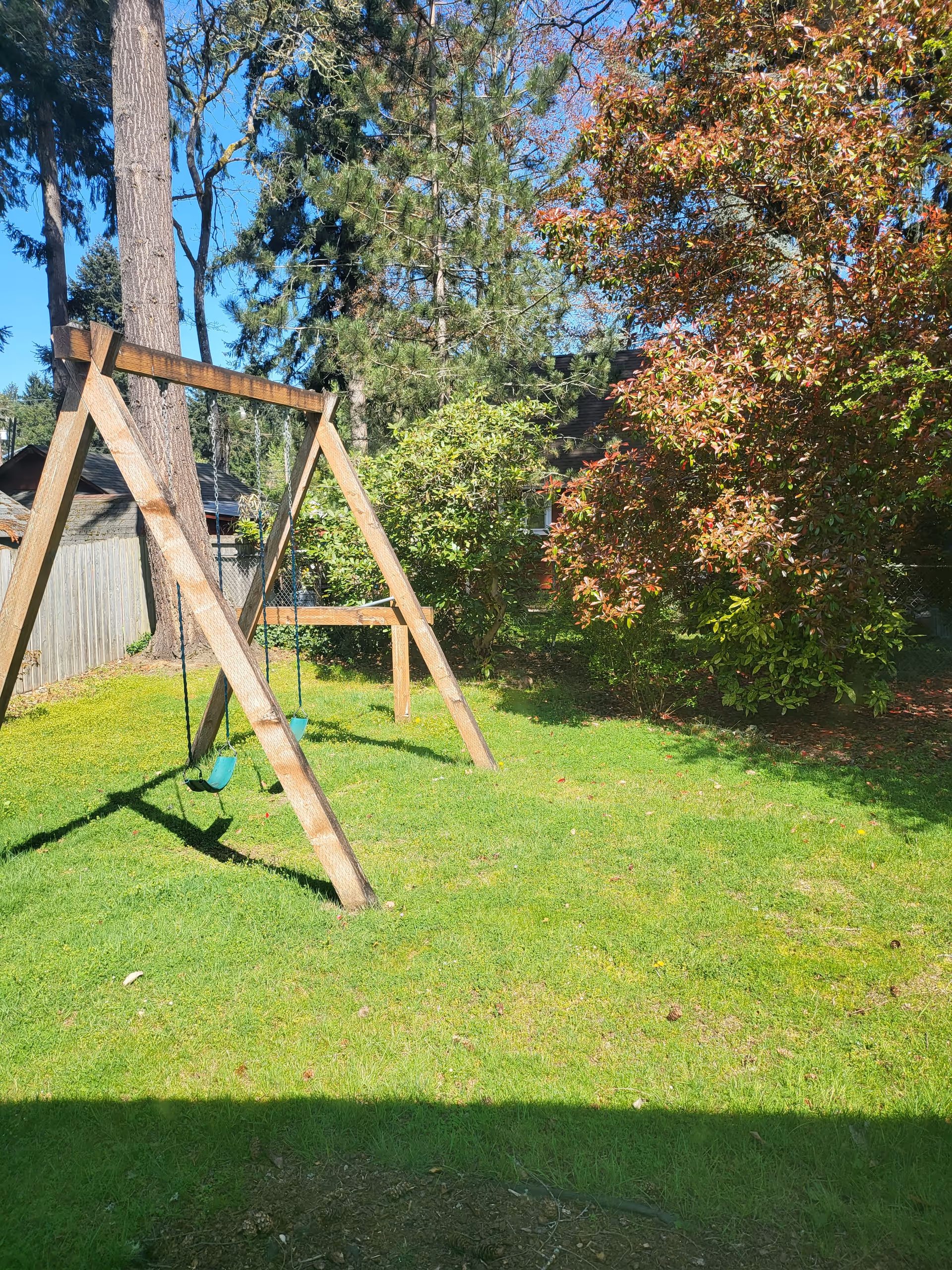 A sunny backyard with a wooden swing set on a grassy lawn surrounded by trees and a fence.