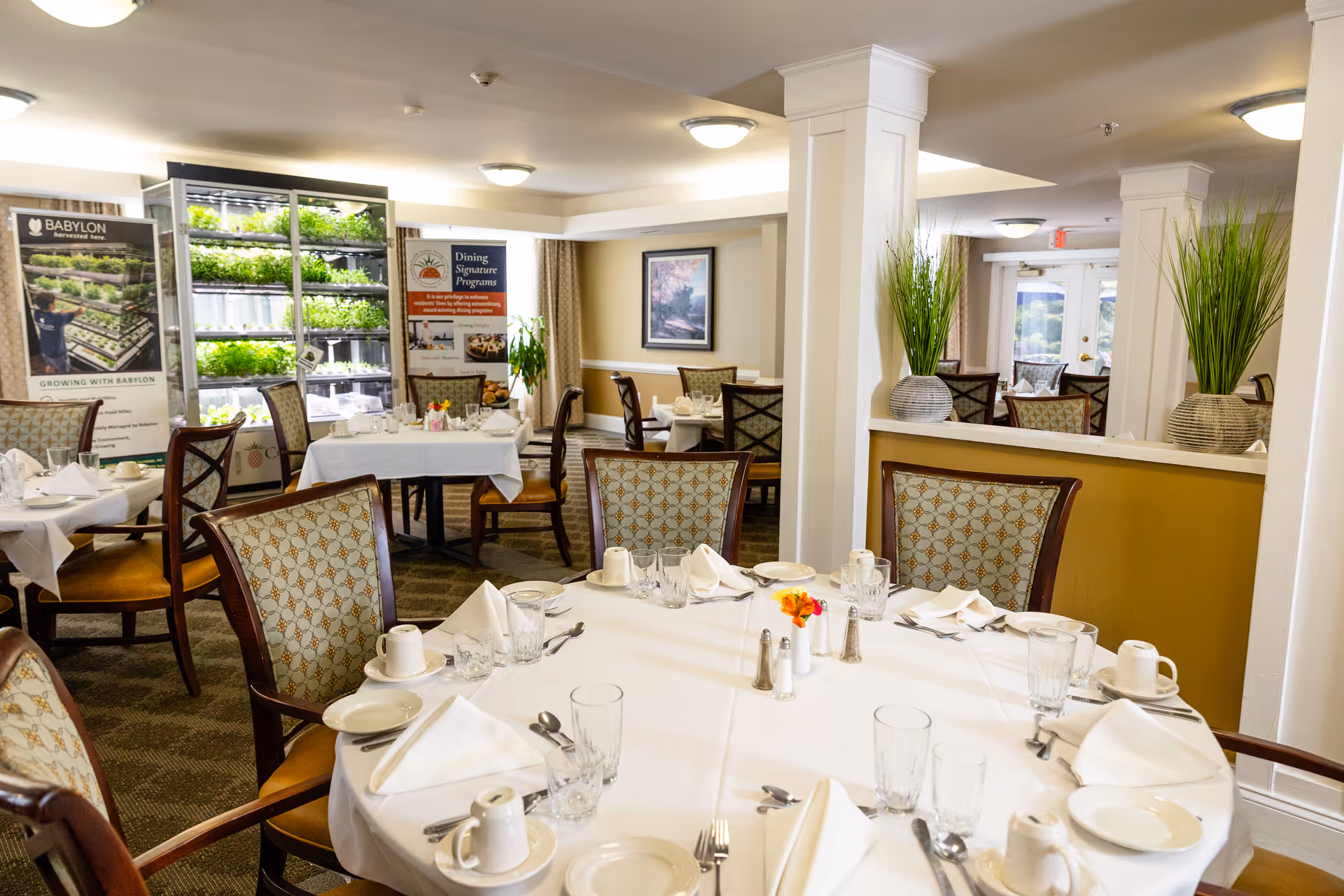 A dining room in a senior living facility with round and rectangular tables set with white tablecloths, napkins, glassware, plates, and silverware. The room features upholstered chairs with patterned backs, potted plants on a half wall, and posters promoting dining signature programs and fresh produce growing. Large windows and ceiling lights provide ample lighting.