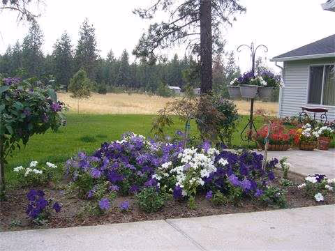 Flower-filled garden in foreground with planters beside a light-gray senior living facility exterior.