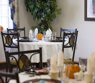 A dining room with round tables covered in white tablecloths, set with plates, glasses, napkins, and small decorative pumpkins. Black metal chairs with cushioned seats surround the tables. A large green plant is in the corner near a window with curtains, and a framed picture hangs on the wall.