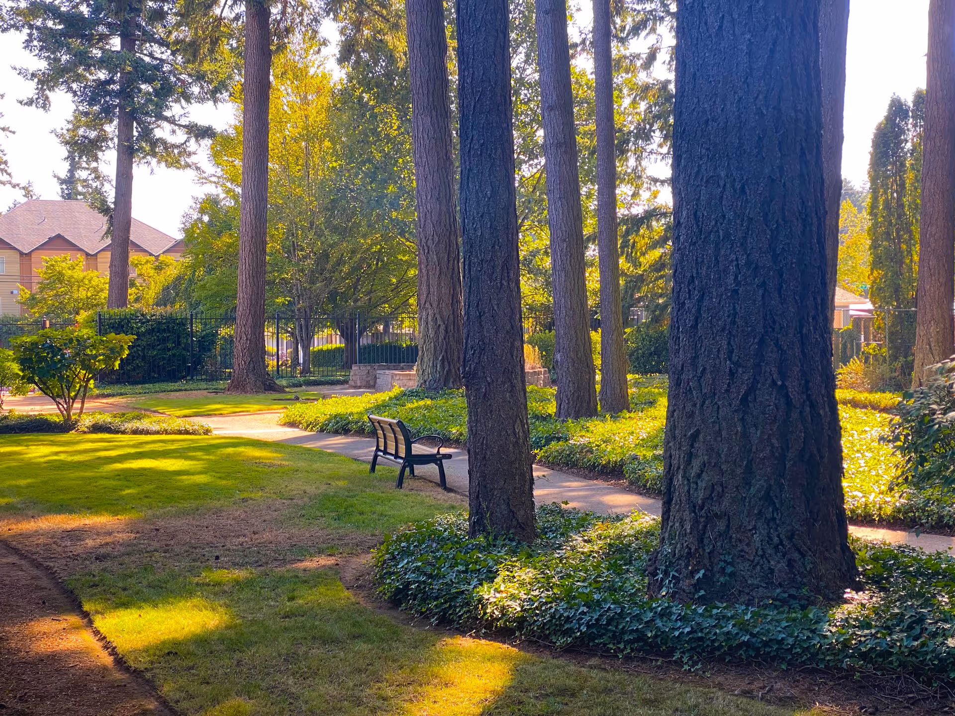 A peaceful outdoor garden area with tall trees, green grass, and a paved walking path. There is a black bench along the path, surrounded by lush greenery and sunlight filtering through the trees. In the background, there are residential buildings and a black metal fence.