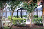 Photo 7 of Palm Garden of Pinellas